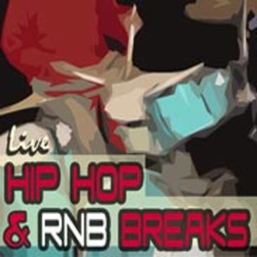 Hip Hop And RnB Breaks WAV REX